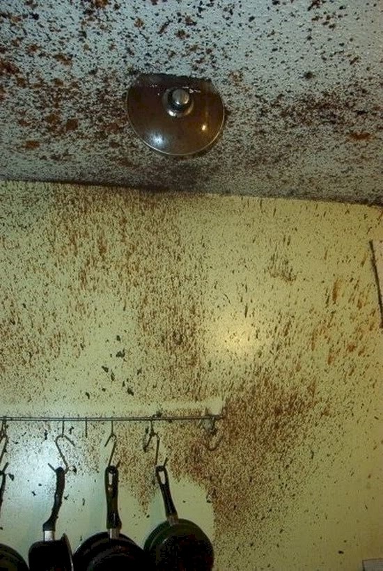 القدر المتفجر