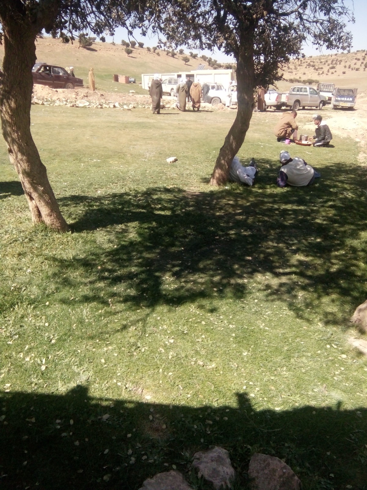 IMG20190318121156