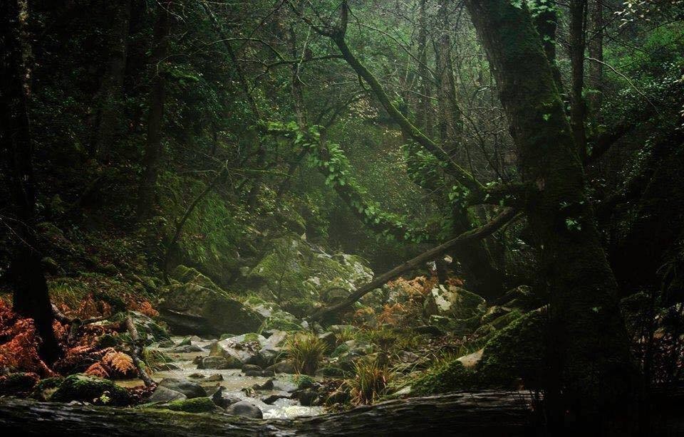 Oued_Zen__Ain_Drahem_
