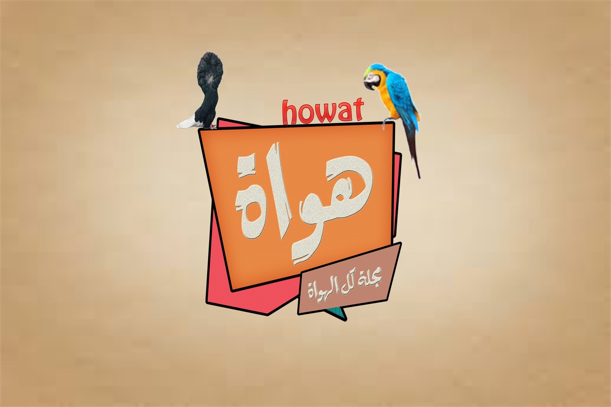 شعار مجلة هواة الالكترونية