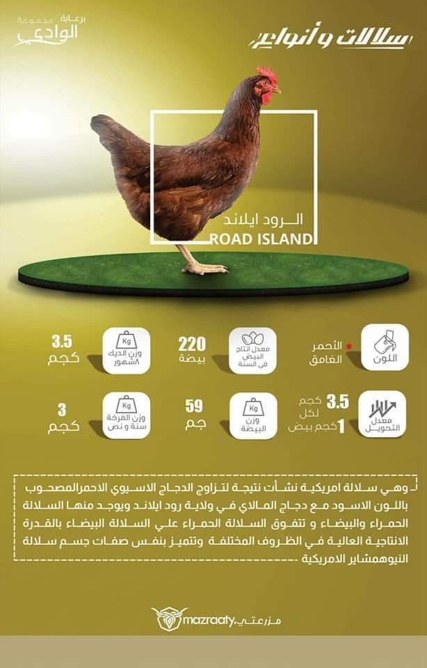 FB_IMG_1550854313436