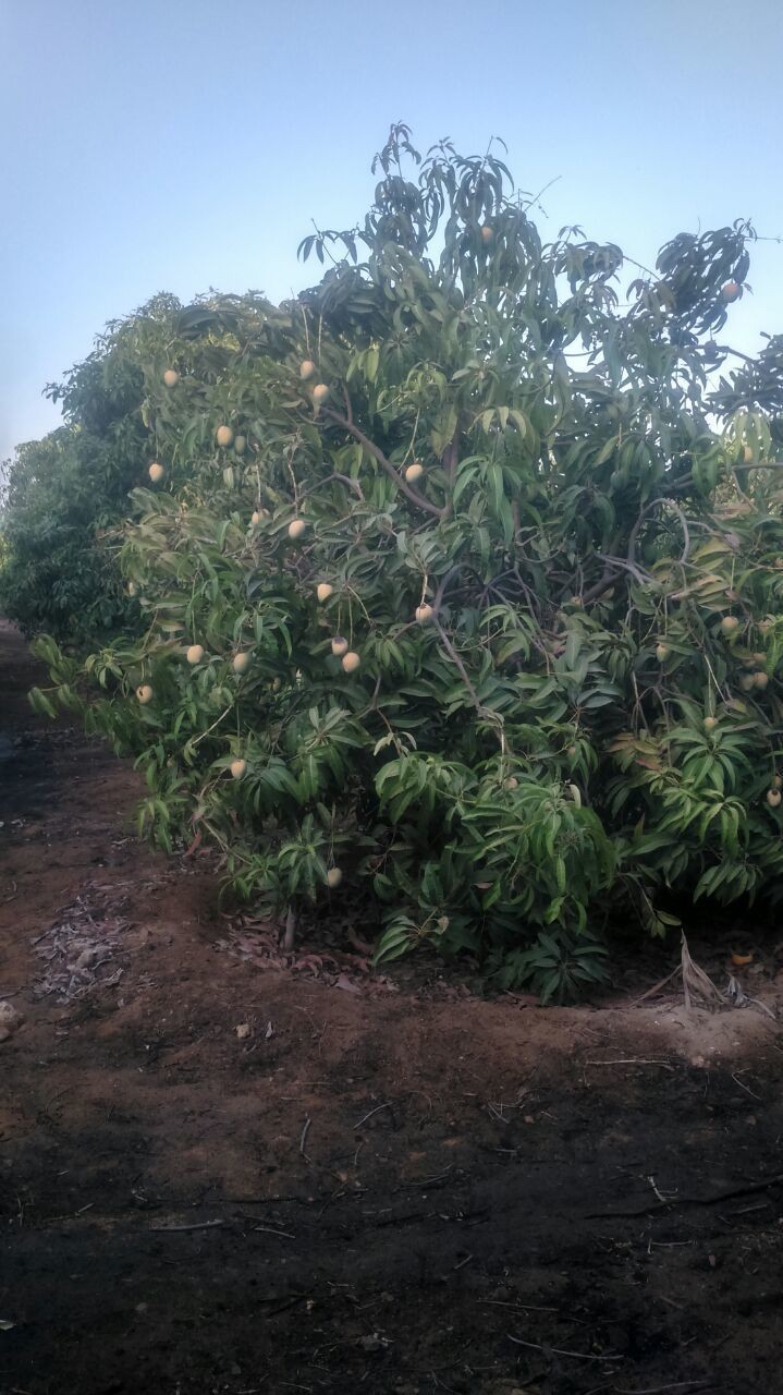 d4b04fca-91b0-4bce-b299-ace443ce1144