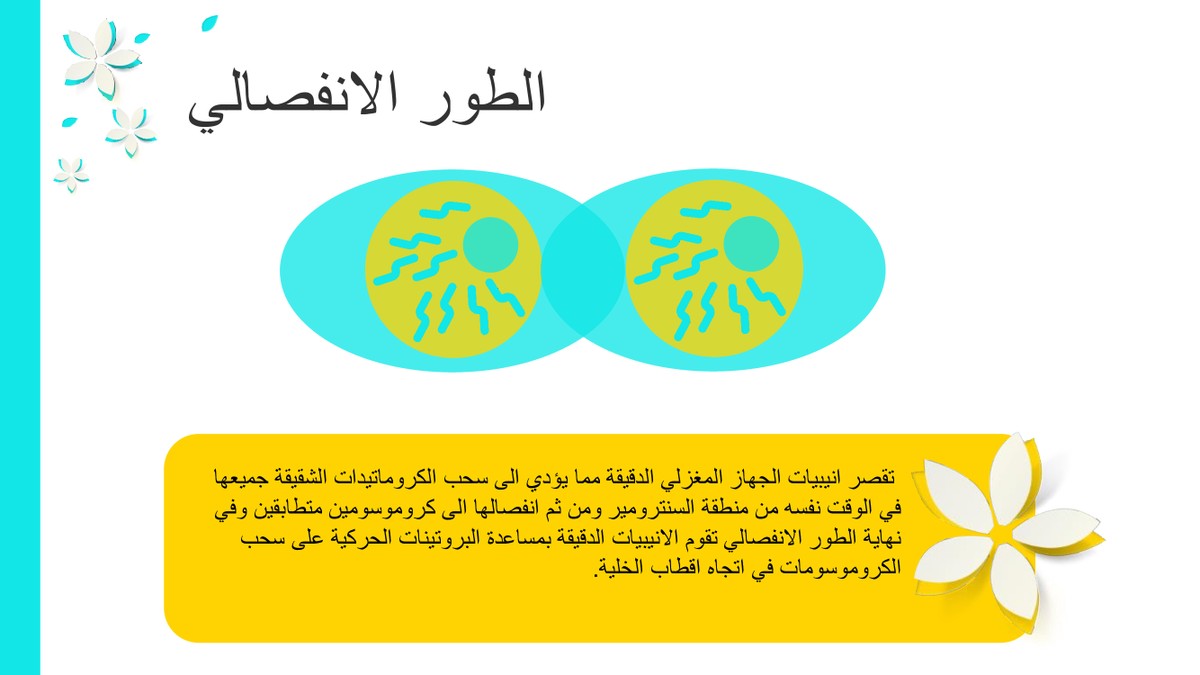 2c35ee775c1be0f5abbaa40beb9a6ef6-10