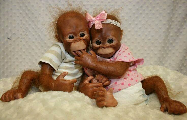 13319925_601074606739234_5948982886000520286_n