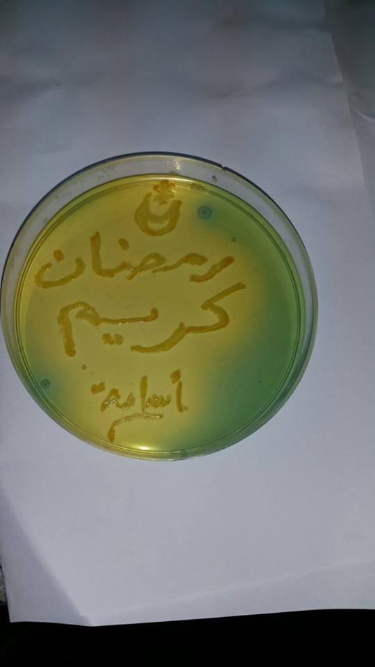 20160607-14629-53b3mm