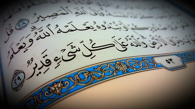 24649476343_d498de7bef_z