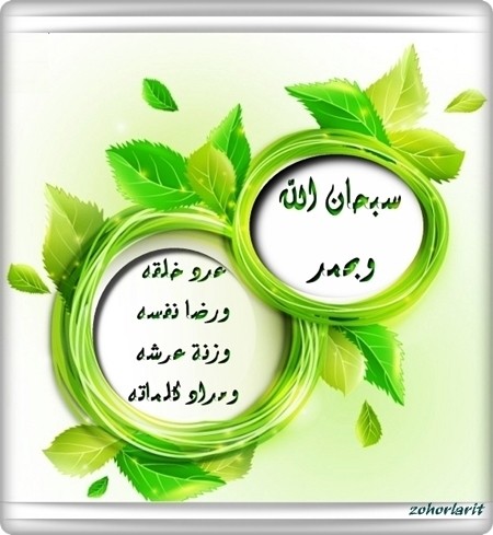 عدد