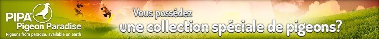 C__Data_Users_DefApps_AppData_INTERNETEXPLORER_Temp_Saved_Images_Banner-Season-ends2-Screen-1-fr-v1