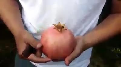 21938473_1961987717348505_1531743126262120448_n