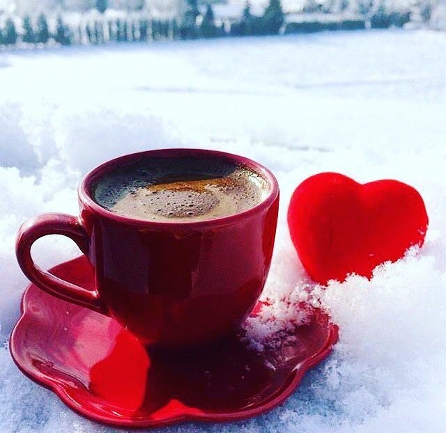 922823_620260988114222_6388304078355294040_n