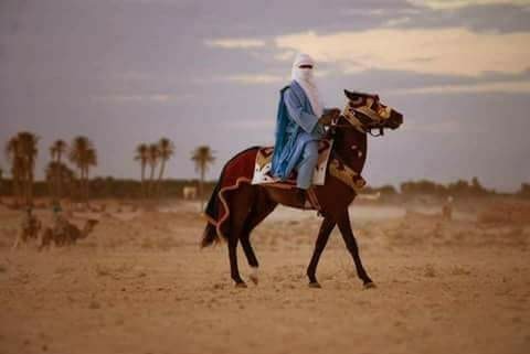 25289350_541145176228741_3505890791232726959_n