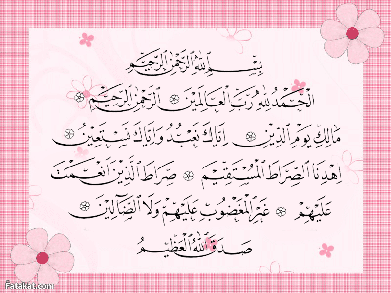 13645081ىتتىتت