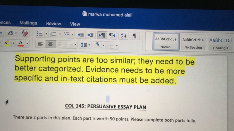 WhatsApp_Image_2017-04-16_at_10.52.16_PM