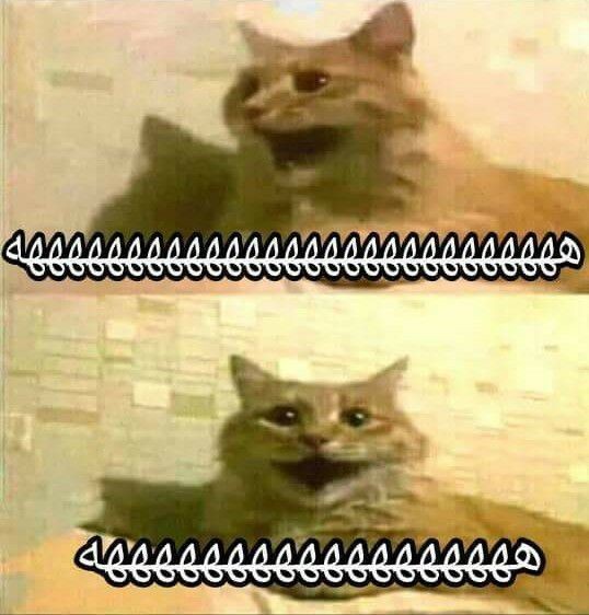 34091866_462190094218216_1550783785732145152_n