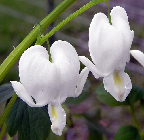 5734977356_caed23020e