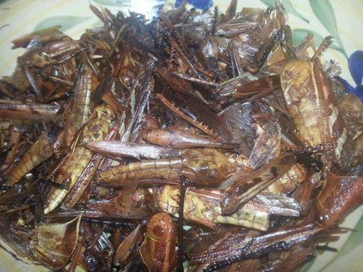 12800217_978989422180857_30032649446389169_n