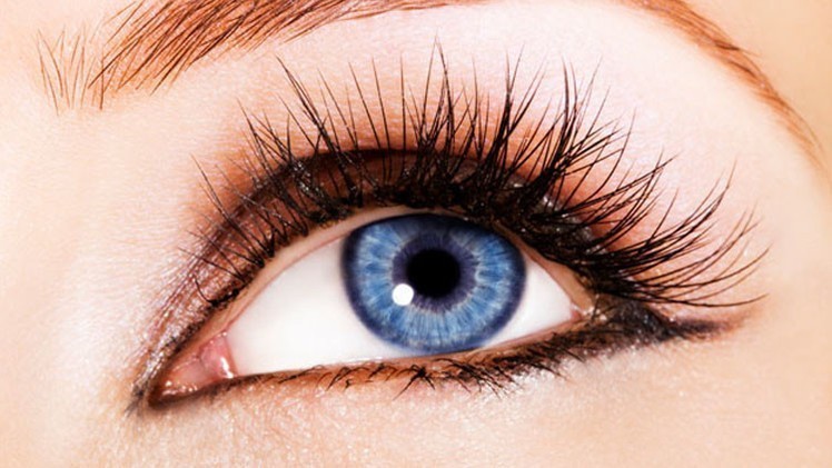 دقة عين الإنسان 576 ميجابيكسل، أي 72 ضعفًا لدقة كامير الآيفون