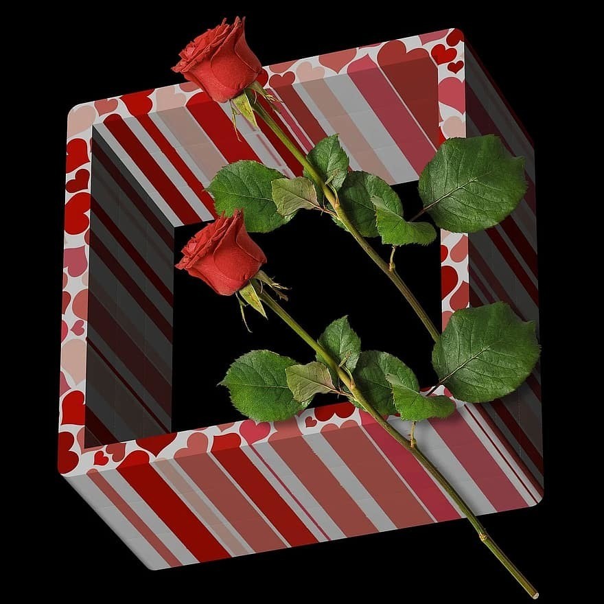 box-roses-romantic-flower-flowers-rosa-spend-wishes-3d