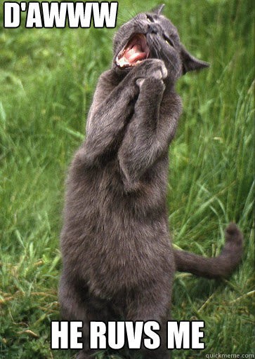 1a807817e3dcbab395a5f3b029c423d29d4396169886fa6c2dde57879e9b0e57