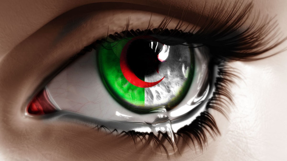 محمد_اسرار__1_