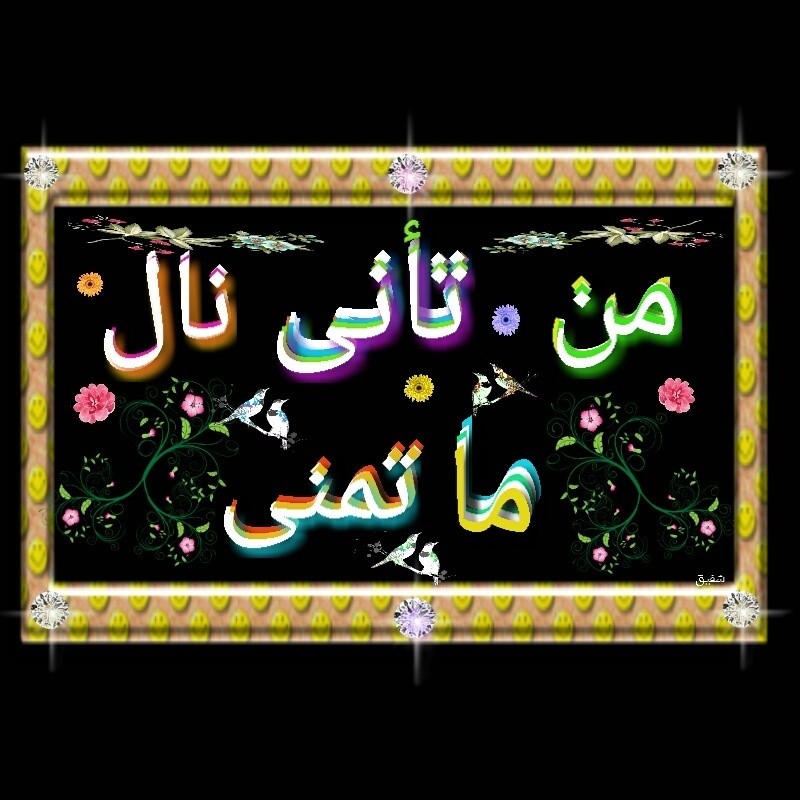 AThumbCut_١٦٠٣٣١-١١٥٥٤٥