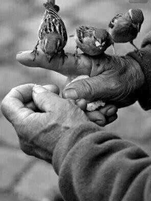 017bf759-cb06-4833-9266-2c7e8ae86a7f-original