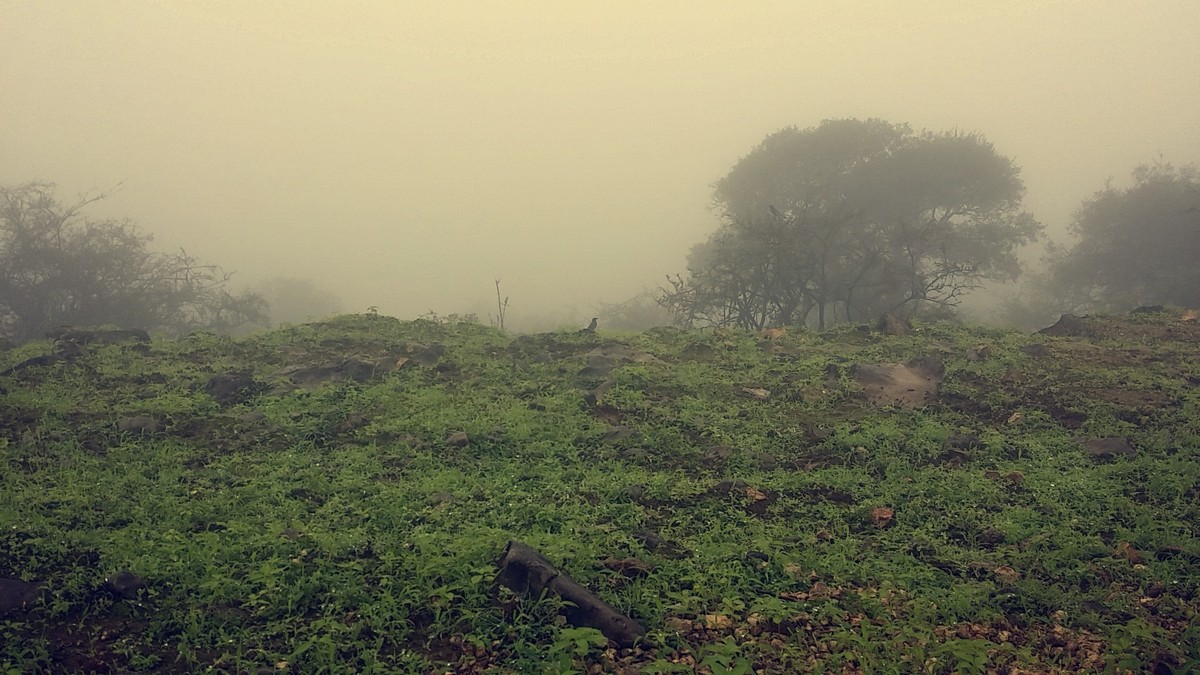 Snapchat-9096345495971879919