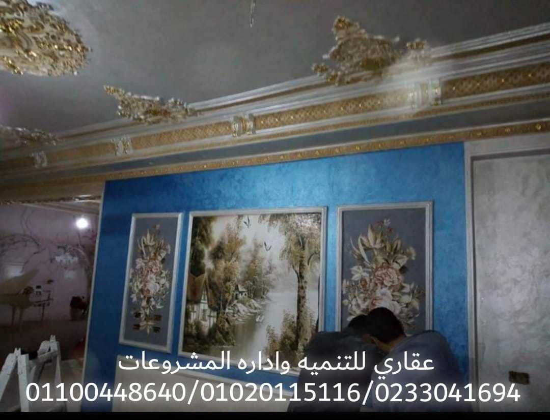 شركة تشطيبات ( عقارى 0233041694 - 01100448640 )