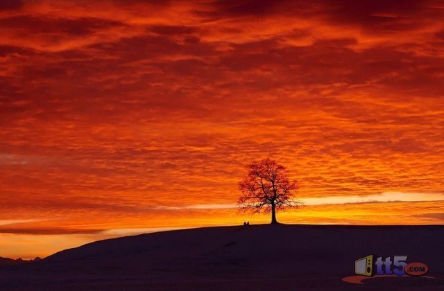 world-pictures-nature-new-5