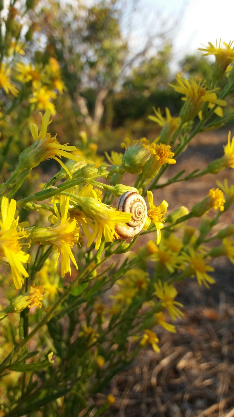 PicsArt_11-19-10.46.44