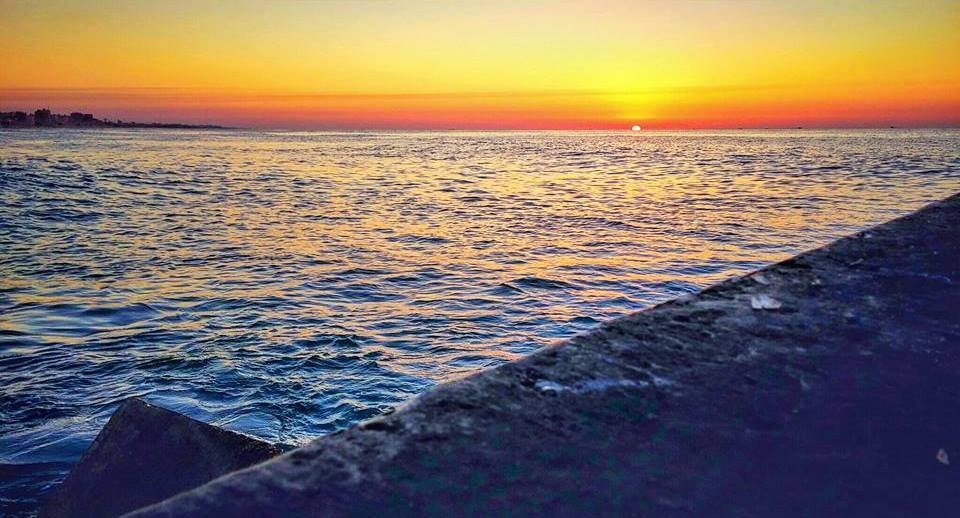 20160508-7927-z55f63