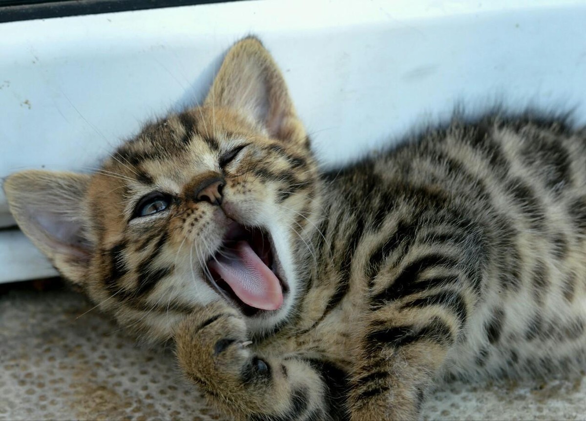 7be01780295df07cd007ac5f7b65bb7d8b08a49c74ff40632dd16cb69b94f74e