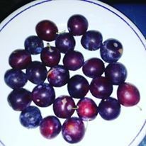 19225245_10211759937945504_1538926443342079683_n