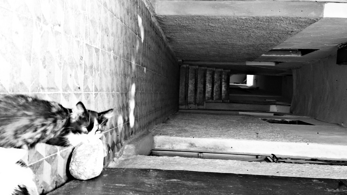 PicsArt_06-02-03.27.05