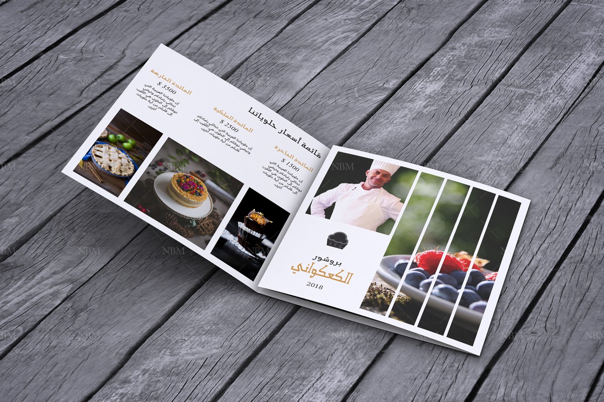 أنديزين CS4 و ما بعده