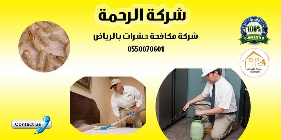 شركة مكافحة حشرات بالرياض 0550070601 L