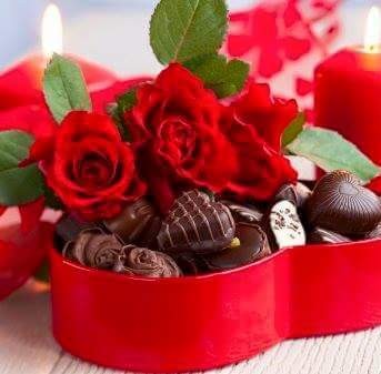 ورد وشيكولاته