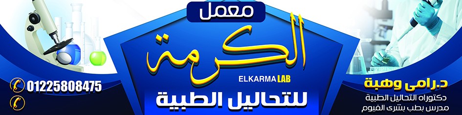 الكرمه_ماكيت