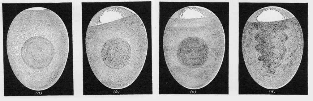 20160728-32303-4ncxhr
