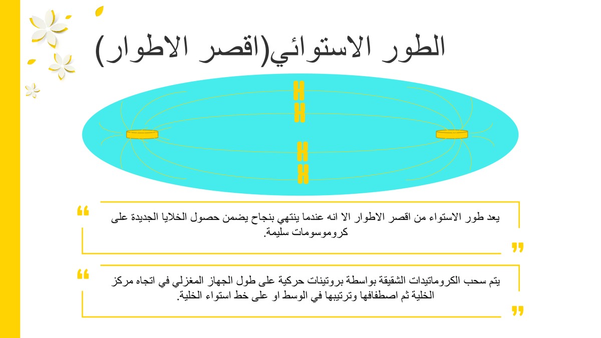 2c35ee775c1be0f5abbaa40beb9a6ef6-8