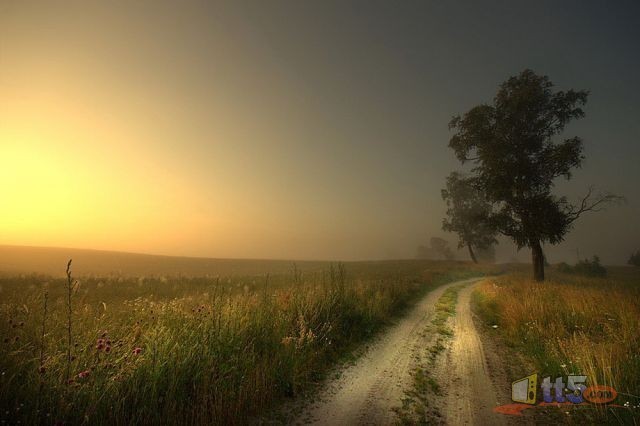 world-pictures-nature-new-23