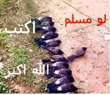 13232998_1012618022190101_7497539082203286858_n