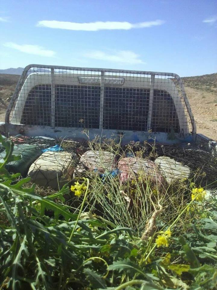 16603077_10210638309425492_2370009067093839953_n