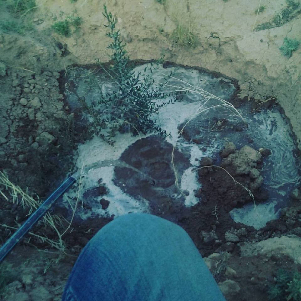 19149281_10211791413772380_6962924205843842386_n