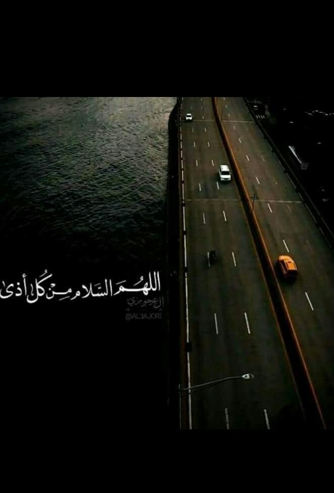 aviary-image-1516458670532