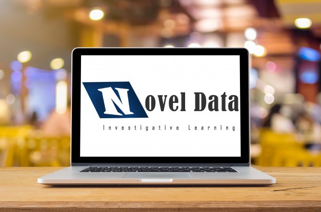 Novel_Data_Investigative_Learning_2