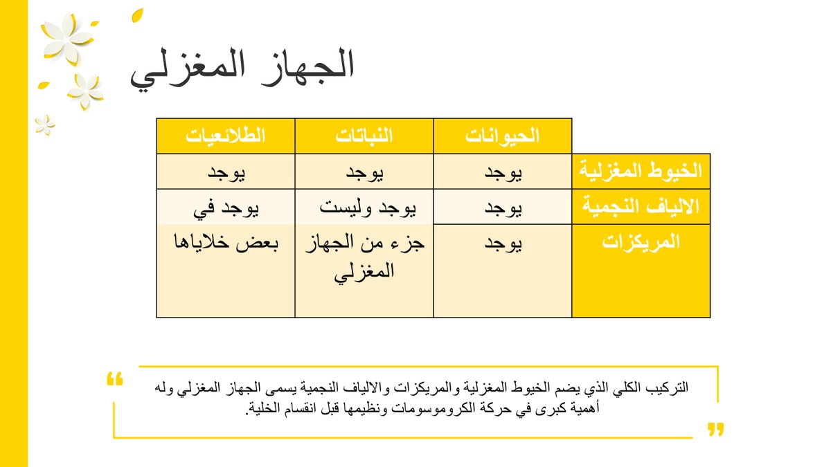 2c35ee775c1be0f5abbaa40beb9a6ef6-7