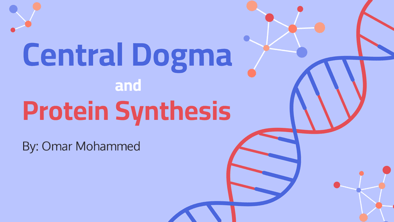 Central_dogma___Protein_synthesis_page-0001
