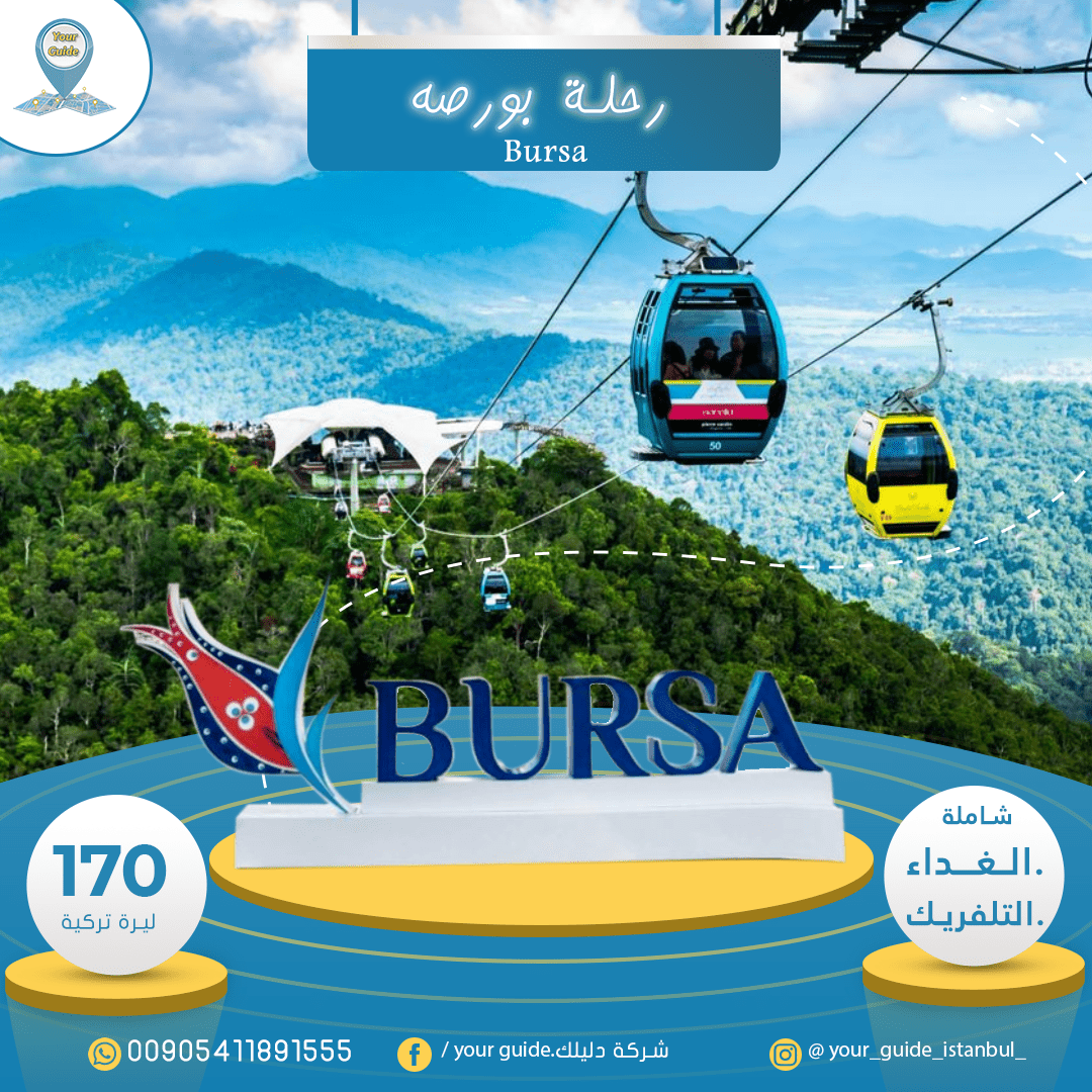 bursa