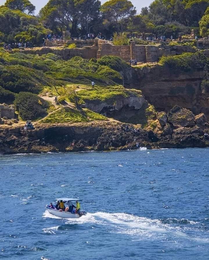 FB_IMG_1647871567774